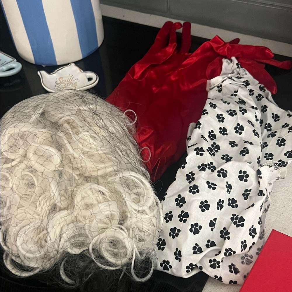 Cruella Devil Costume Set